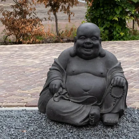 Hotel Hotel-restaurant Het Rechthuis 3*