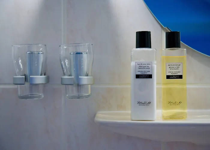 מלון Hotel-restaurant Het Rechthuis 3*